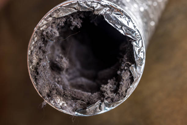 Best Professional Duct Cleaning Services  in Lorena, TX